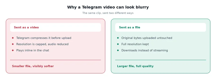 Telegram video sent as a video is compressed and looks softer; sent as a file it keeps full quality